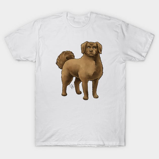 Dog - Wetterhoun - Brown T-Shirt by Jen's Dogs Custom Gifts and Designs